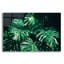 «Tropical» par PhotoINC Studio-1333885067
