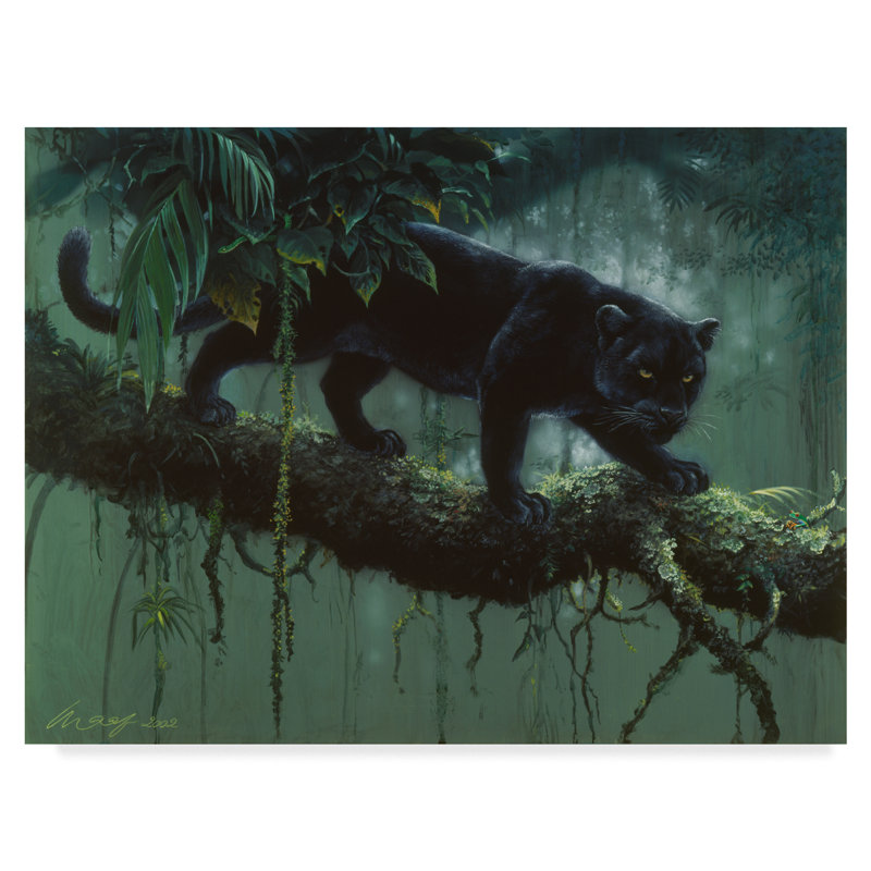 Black Panther Stalking in Jungle Gallery-Wrapped Canvas Art