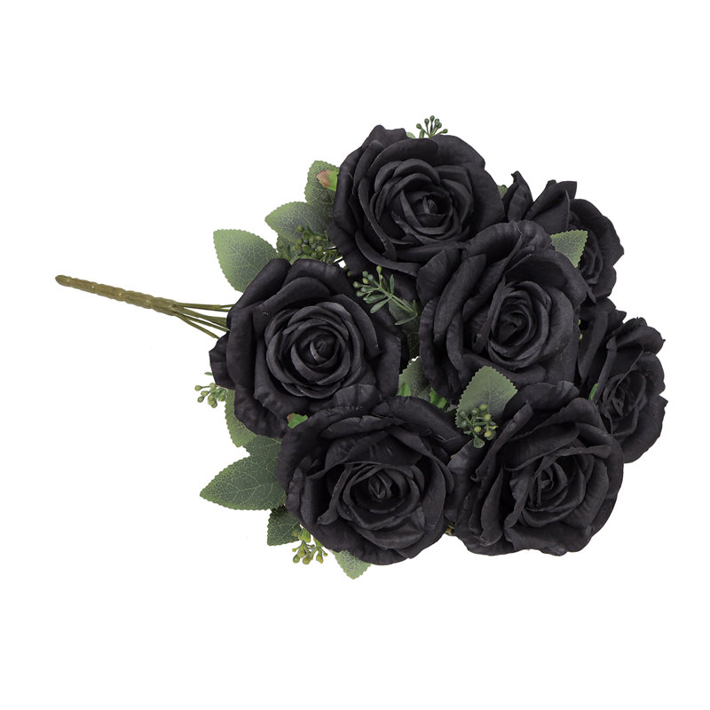 Doux rosier, Black