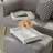 Anniedale Glass Decorative Tray
