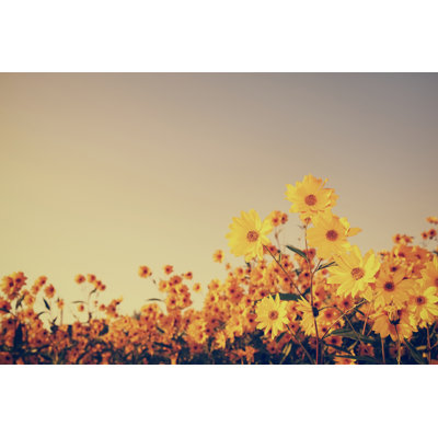 Vintage Flowers In Sunset by Bgfoto - No Frame Print on Canvas