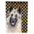 Belgian Tervuren