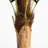 Artificial Coconut Palm Tree-1326062343