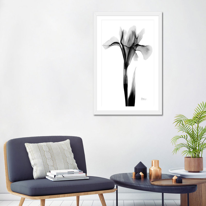 «Expressed Iris I» par Albert Koetsier, impression, Papier encadré blanc, Blanc, H 32 po x l 24 po x P 1 po