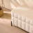 Basic Ottoman (Bench Type), 49.21" Wide Upholstered Velvet Storage Soft Bench Footstool  End Of Bed With Metal Legs, Foot Rest-287229237