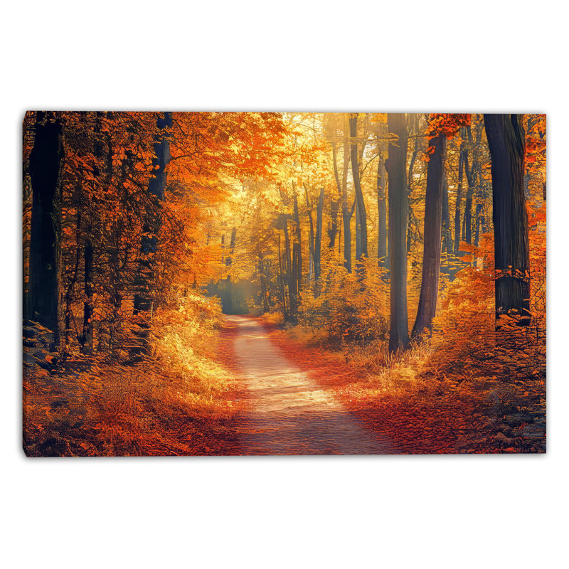 «Golden Autumn Forest Path with Sunlight and Fall Foliage», art mural sur toile tendue, H 12 po x l 16 po