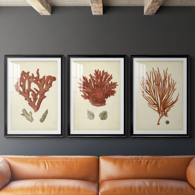 Antique Red Coral II  -Custom Framed  Premium Print W Matt - 3 Pieces