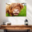 Vache Brampt-108816416