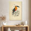 Brampton Toucan Du Para-108472829