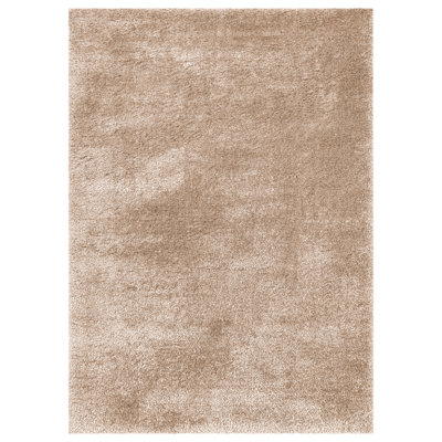 Cestar Shag Indoor / Outdoor Area Rug