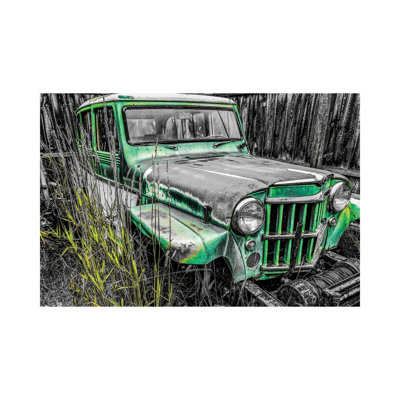 Willys Green by Heidi Bannon - Wrapped Canvas Print