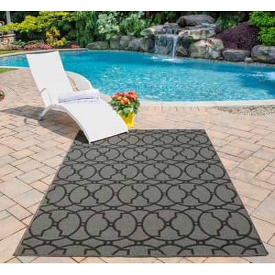 Tapis d'intérieur / extérieur gris anthracite tissé à la machine Yepez