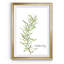 Fresh Sprig Rosemary - Cadre photo, reproduction d'art sur papier-1121506701-1121506700