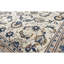 Wool Oriental Area Rug in Ivory