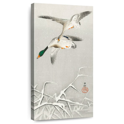 Two Wild Ducks In Flight