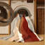 Tapis Arid Elegance-1159905922