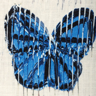 Flutter