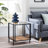 Vireo Glass Top End Table-1633958950
