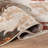 Beige Multi Botanical Scroll Area Rug-388437021