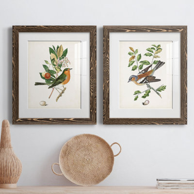 " Antique Bird, Botanical And Egg I " 2 - Pieces Painting Print
