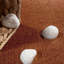 Crista Area Rug-717666123
