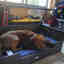 Customer photo 1 of 2