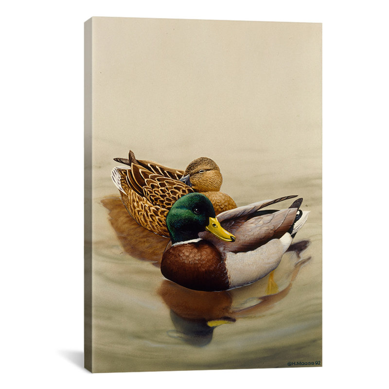 «Mallard» par Harro Maass Painitng, reproduction sur toile, H 26 po x l 18 po x P 1,5 po, Pas de tapis, Toile tendue