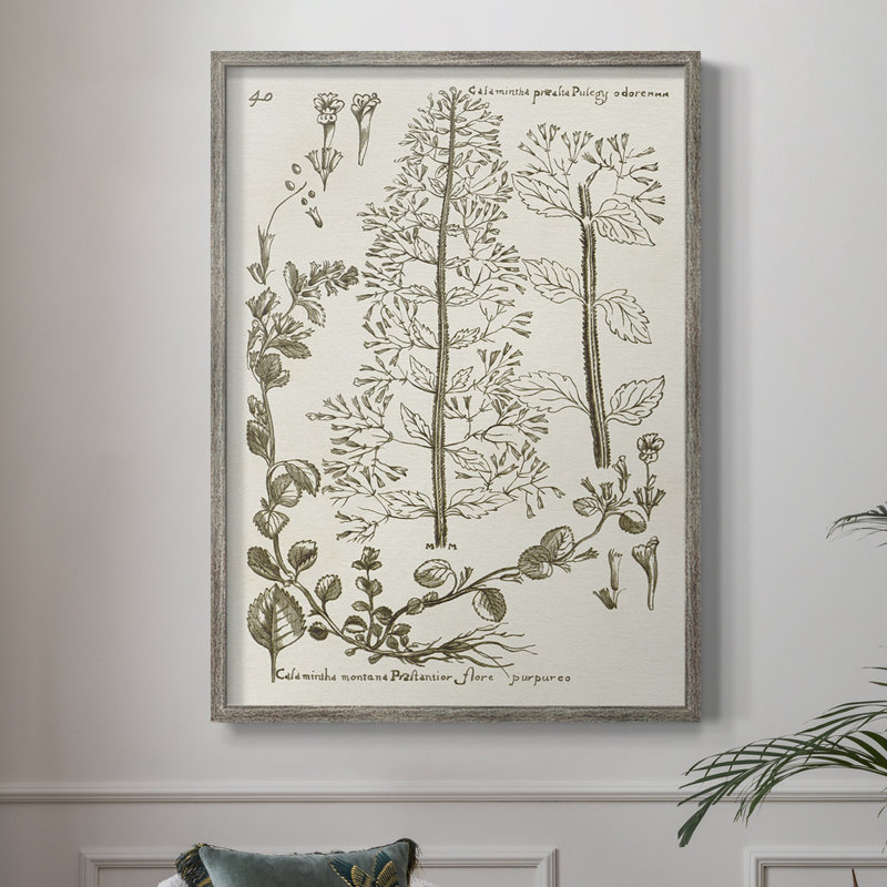 Sepia Botanical Journal V Framed Print - Solid Wood, 21" H x 17" W