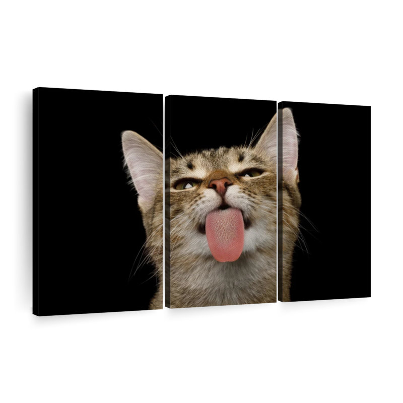" Playful Weird Cat " 3 - Pieces, 32" H x 50" W