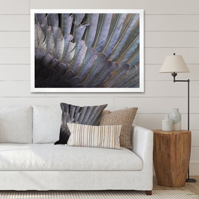 " Black And White Feathers "