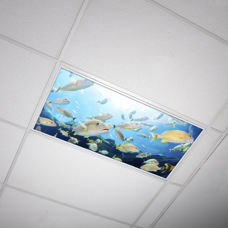 Couvre-lampes fluorescents pour salle de classe Ocean - pour luminaire 2 x 4 - par Octo Lights