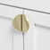 Giana Collection 2-1/2 in. Diameter Round Knob Multipack