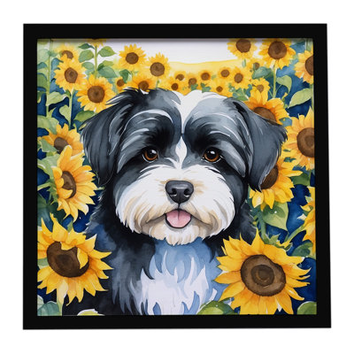 Havanese in Sunflowers Framed Metal Print