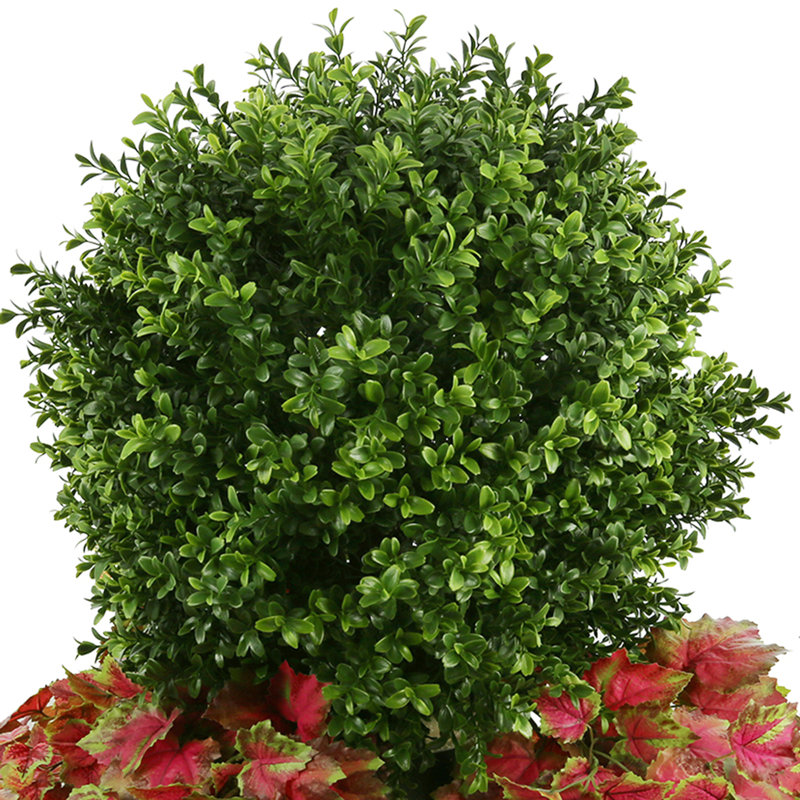 Outdoor Boxwood Topiary Drop-In with Ivy