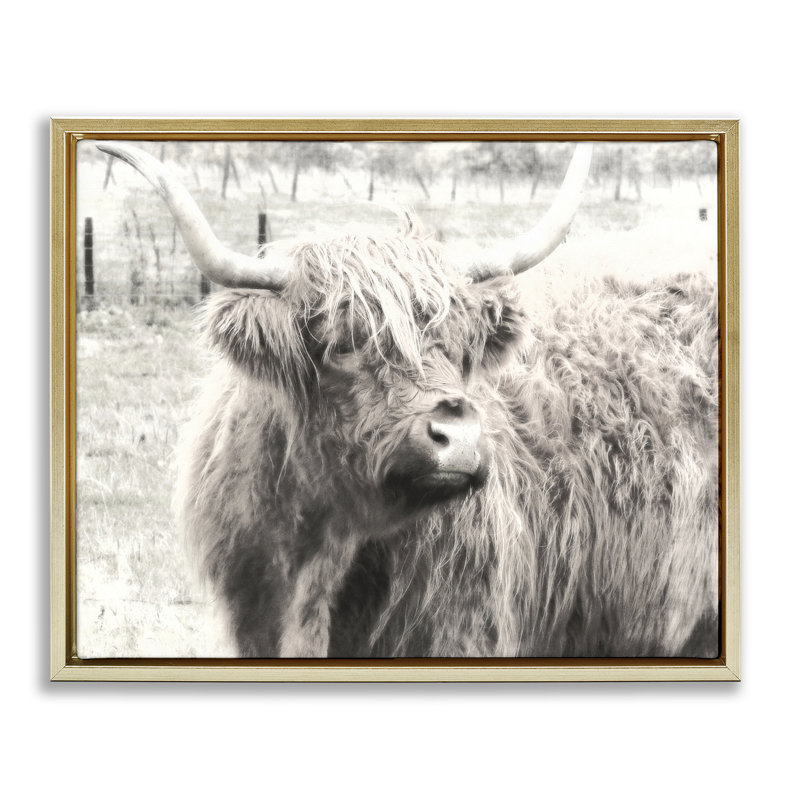  «Highland Cow Gazing Portrait», art mural encadré sur toile flottante par Graffi * Tee Studios, H 17 po x l 21 po