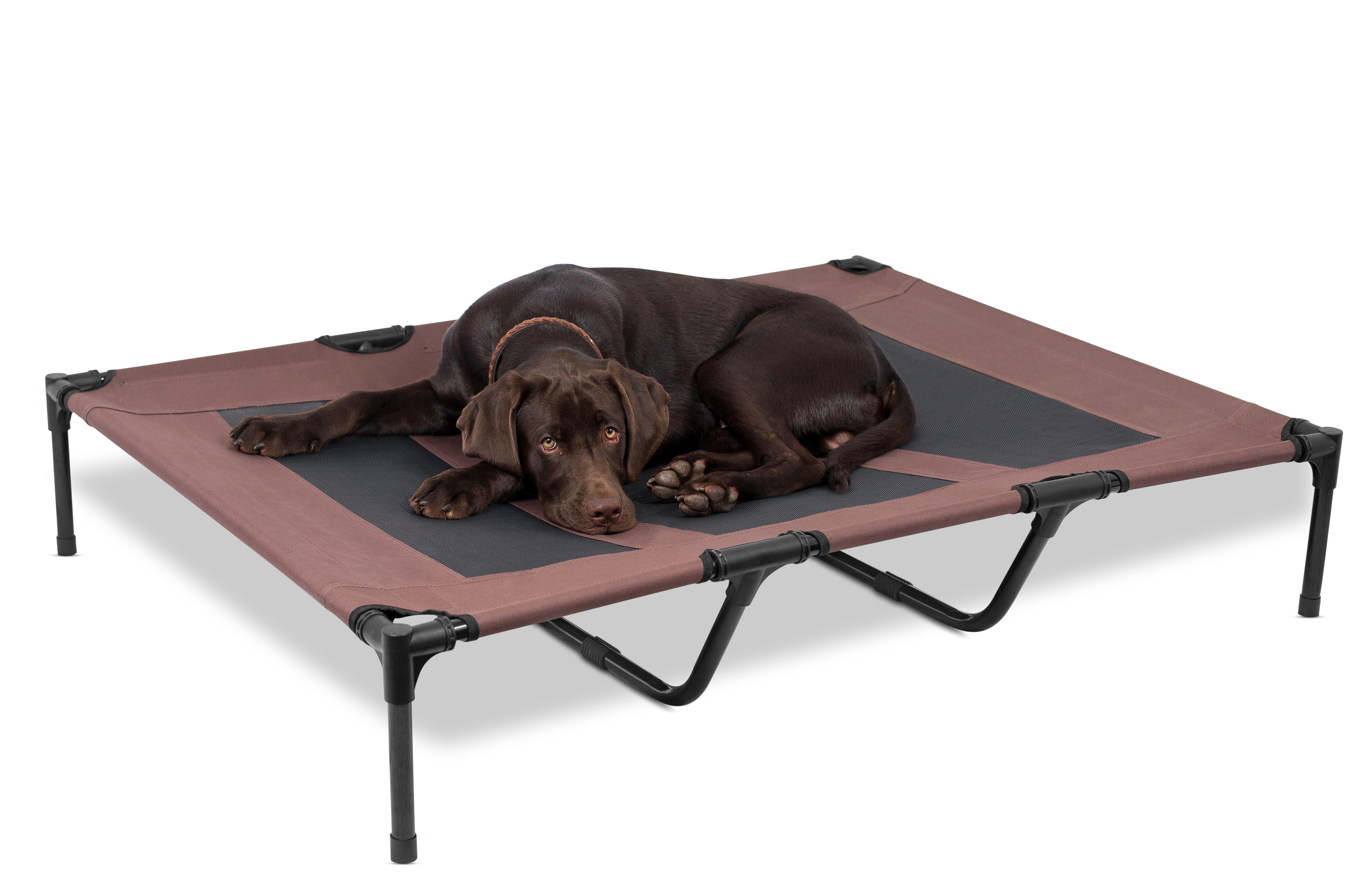 Best pet cot sale