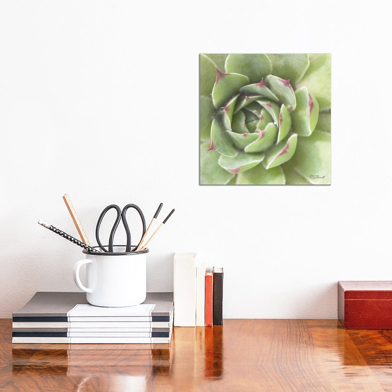 Garden Succulents II by Laura Marshall - Wrapped Canvas Print, 30.48 cm H x 30.48 cm W