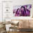 Alvord Purple Amethyst-108738675