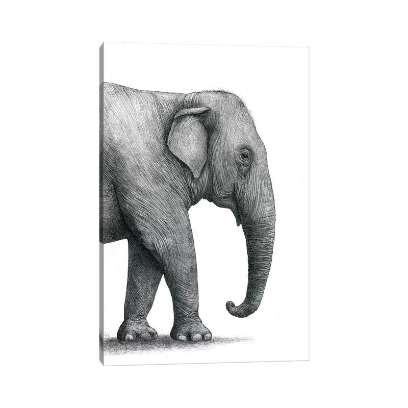 «Elephant Study» par Terry Fan - impression, Toile tendue, Pas de tapis, H 12 po x l 8 po x P 0,75 po