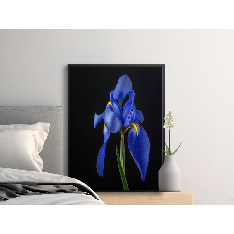 Norvin 1 Piece Wall Art, 9x11