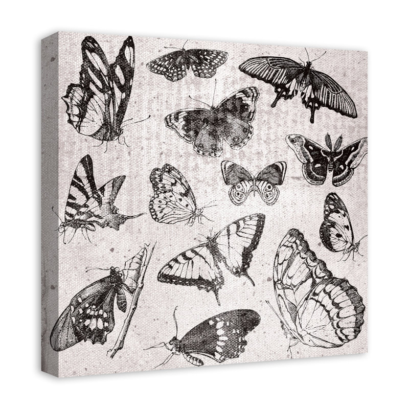 " Grayscale Butterflies ", 20" H x 20" W x 1.25" D