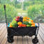 Mini chariot de plage pliable-113494123