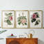 Mélange de fleurs roses I - impression encadrée sur mesure de qualité supérieure mate - 3 pièces-44061801-44061803