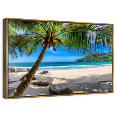 Palmier sur une plage de sable
