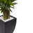 66'' Faux Tree in Ceramic Planter