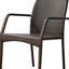 Ensemble de 2 chaises d'extérieur en osier