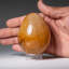 Genuine Polished Lemon Quartz (2.75") Egg from Madagascar