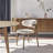 Solid Wood Dining Chair with Cushion