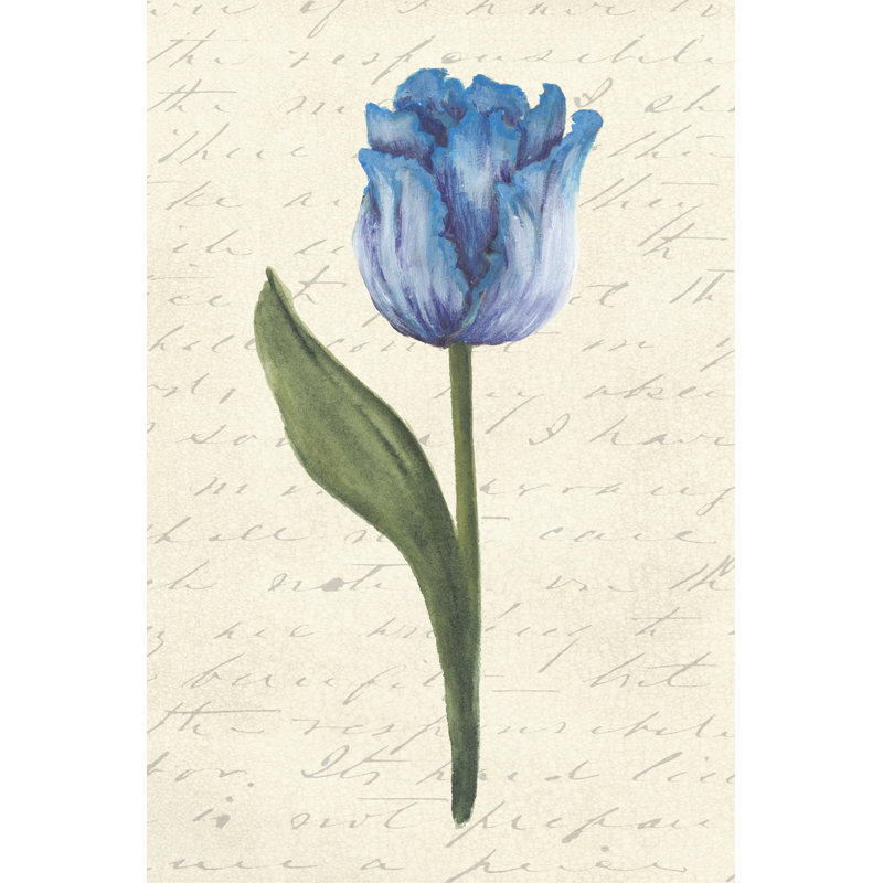 Twin Tulips III by Grace Popp - Art Prints on Canvas, 46cm H x 30cm W x 3.8cm D