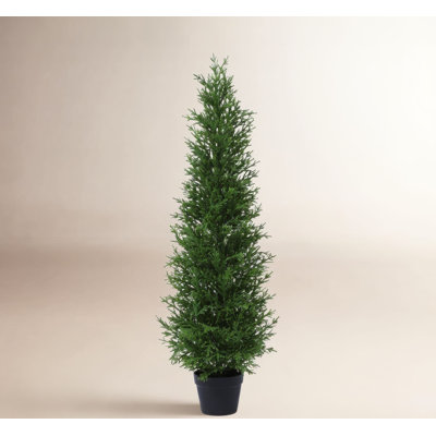 Adcock 60" Cedar Topiary in Pot
